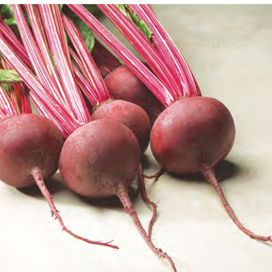 RED ACE Beet Grower Pack