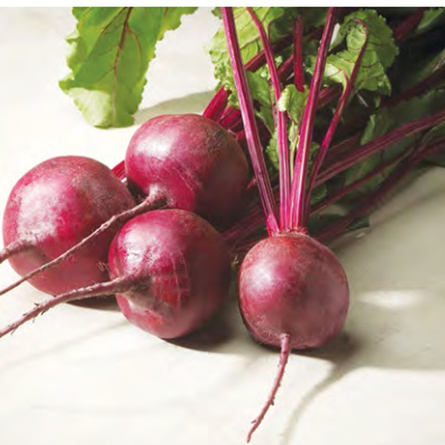 MERLIN Beet