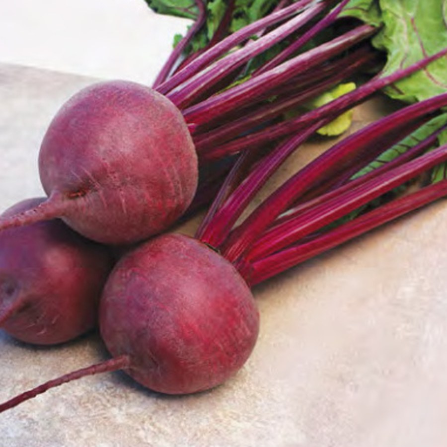 KESTREL Beet Grower Pack