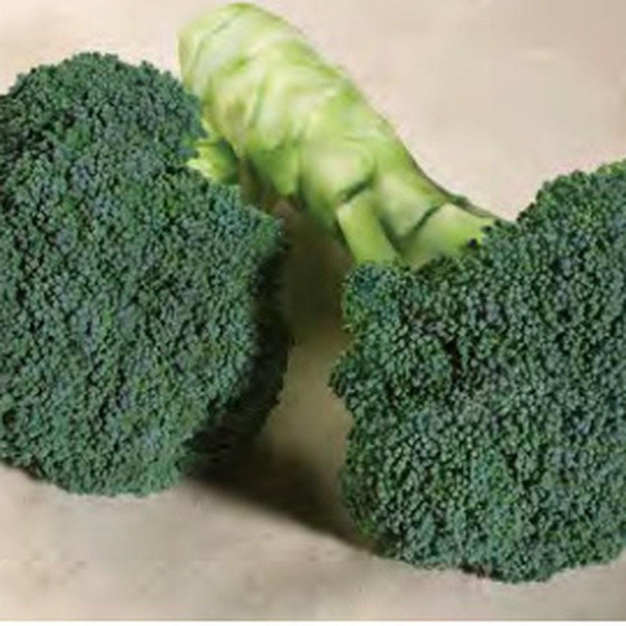 EMERALD CROWN Broccoli Grower Pack