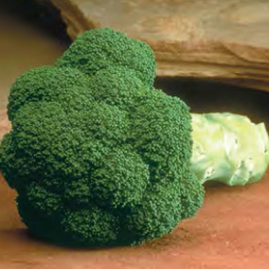 MARATHON Broccoli