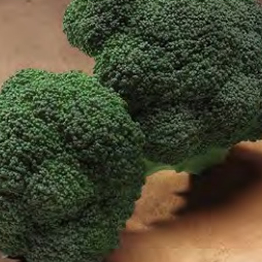 GYPSY Broccoli