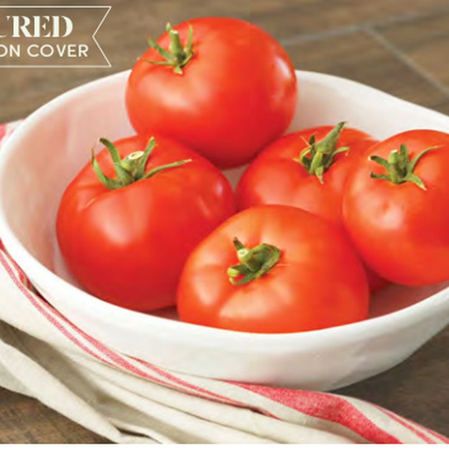 ROADSTER Tomato